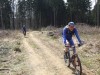 Fr&uuml;hling